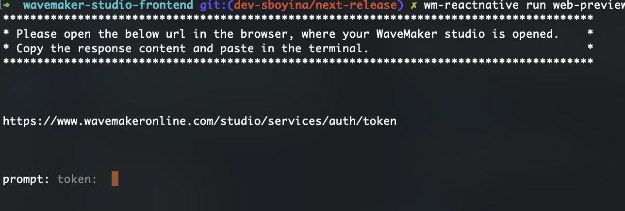 Token Prompt